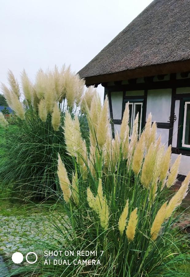 Vila Podroze Checz Charbrowo Exteriér fotografie