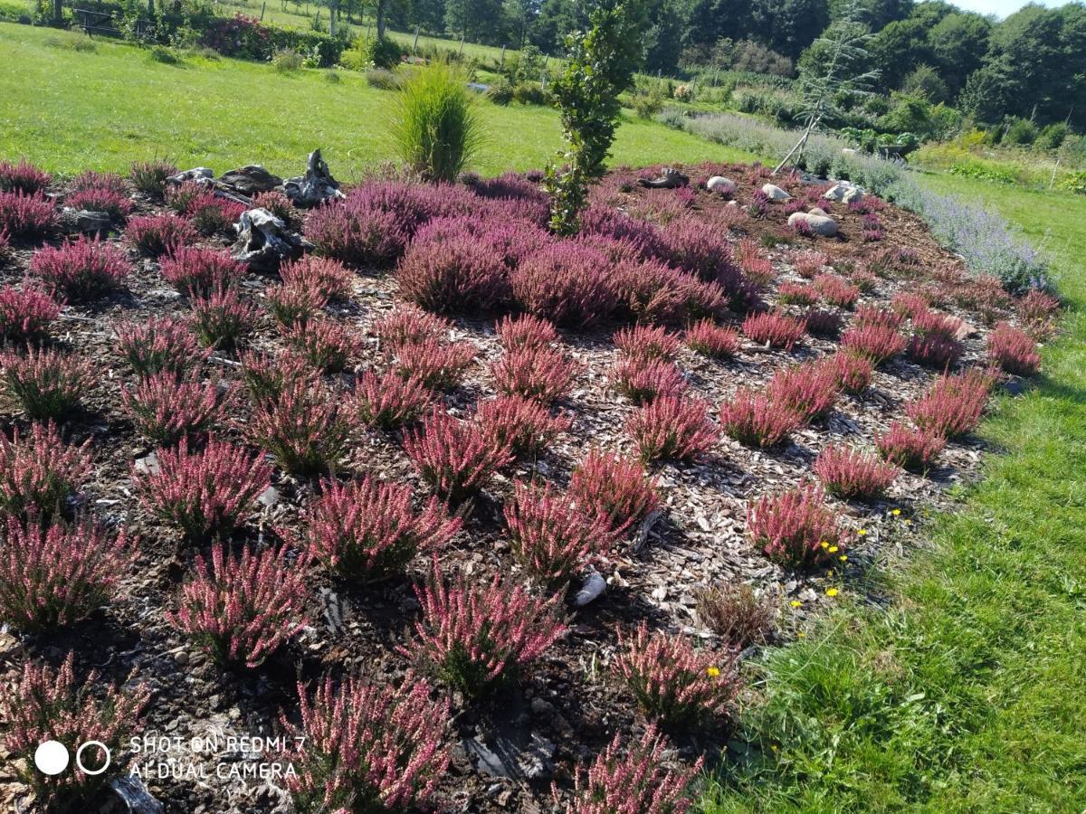 Vila Podroze Checz Charbrowo Exteriér fotografie