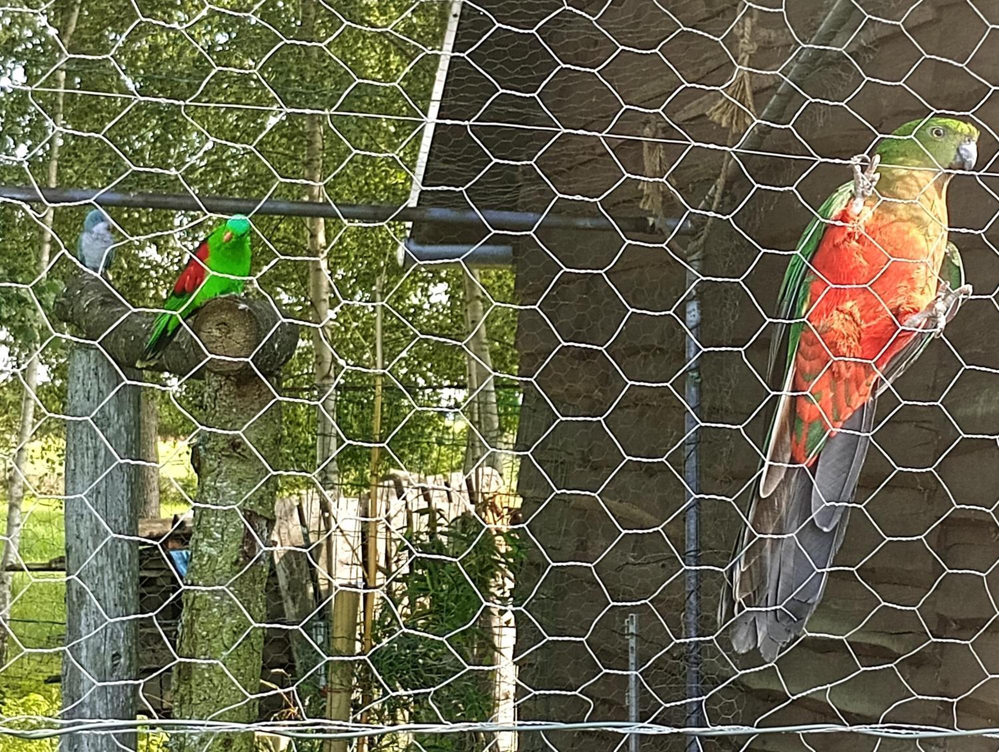 Vila Podroze Checz Charbrowo Exteriér fotografie